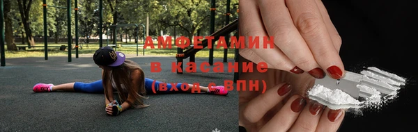 сатива Абинск