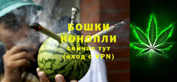 сатива Абинск