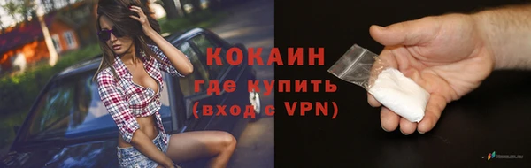 сатива Абинск