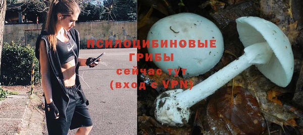 хмурый Абдулино